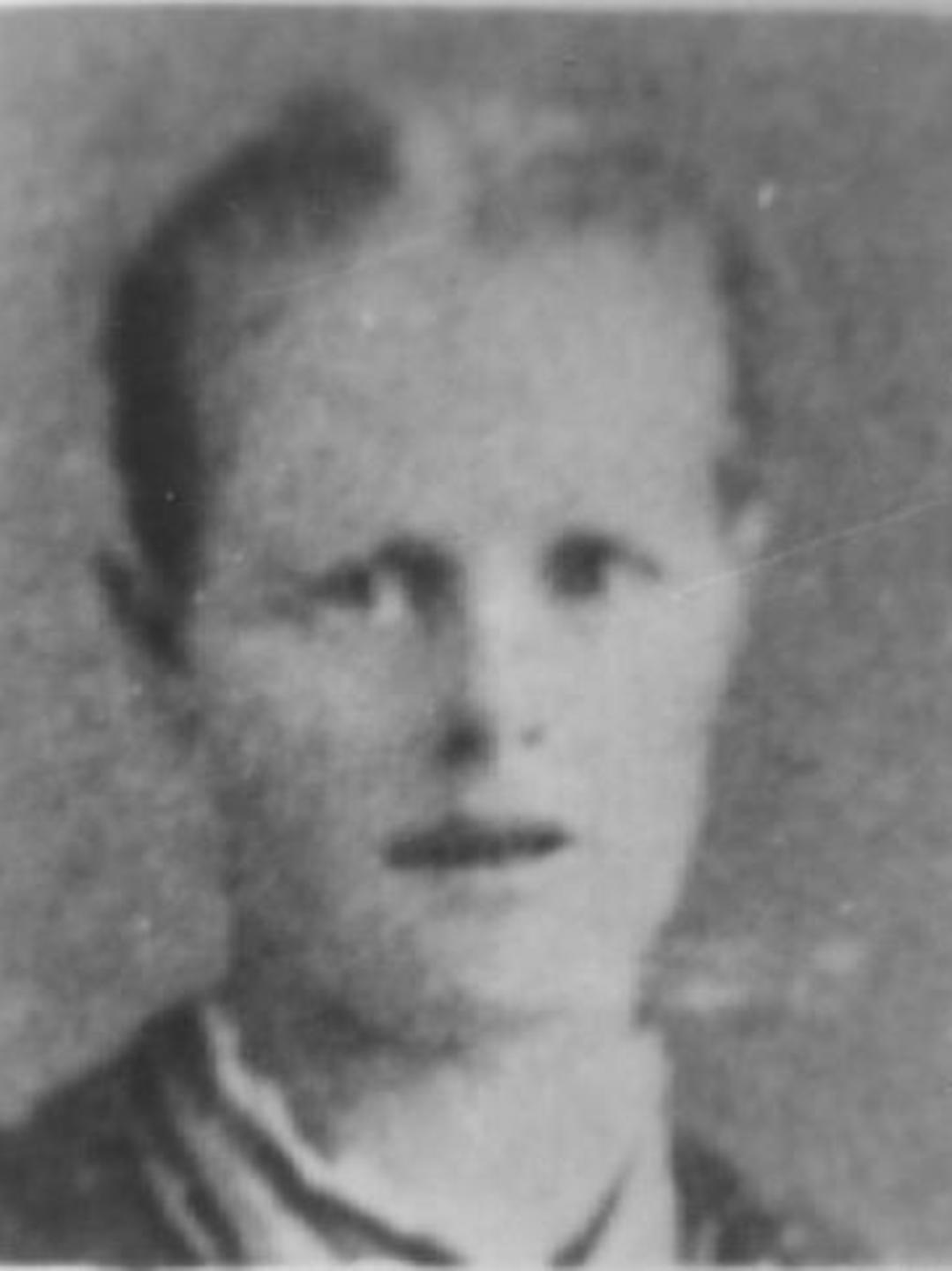 Ann Densley (1854 - 1919) Profile